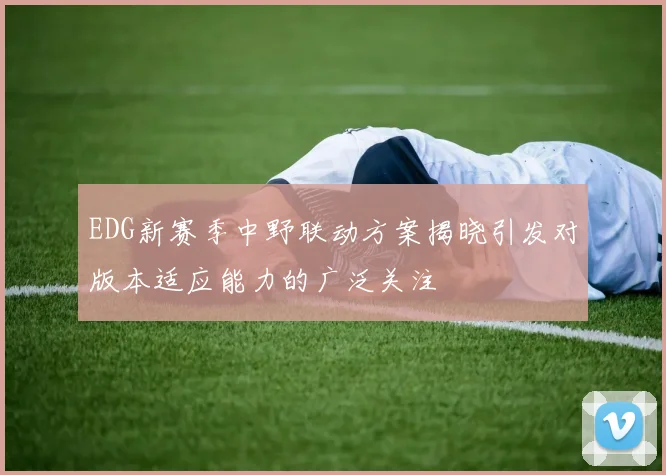 EDG新赛季中野联动方案揭晓引发对版本适应能力的广泛关注