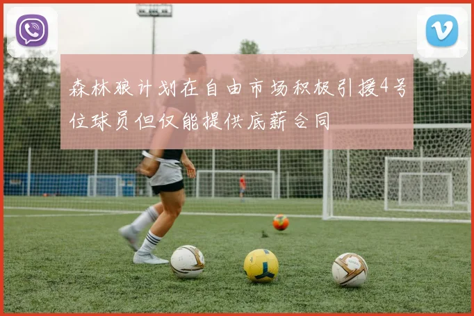 森林狼计划在自由市场积极引援4号位球员但仅能提供底薪合同